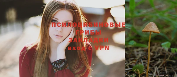 герыч Бородино