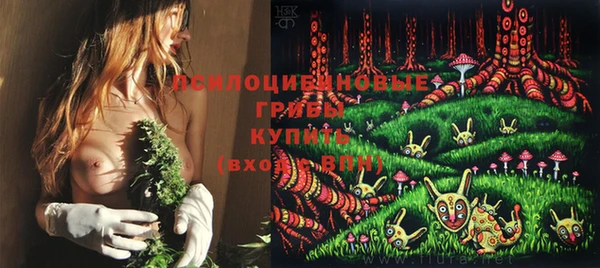 mdpv Бронницы
