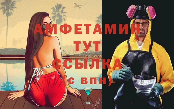 сатива Бугульма
