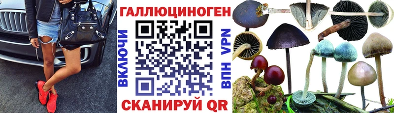Псилоцибиновые грибы мицелий  купить  сайты  Дигора 